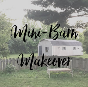 Mini-Barn Makeover